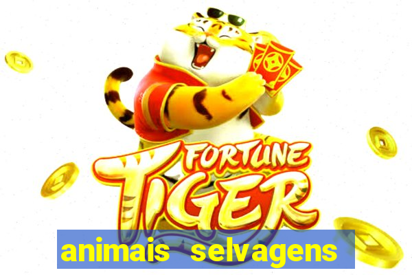 animais selvagens fotos e nomes